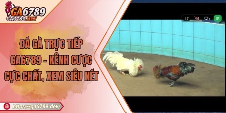 Đá Gà Trực Tiếp GA6789 – Kênh Cược Cực Chất, Xem Siêu Nét