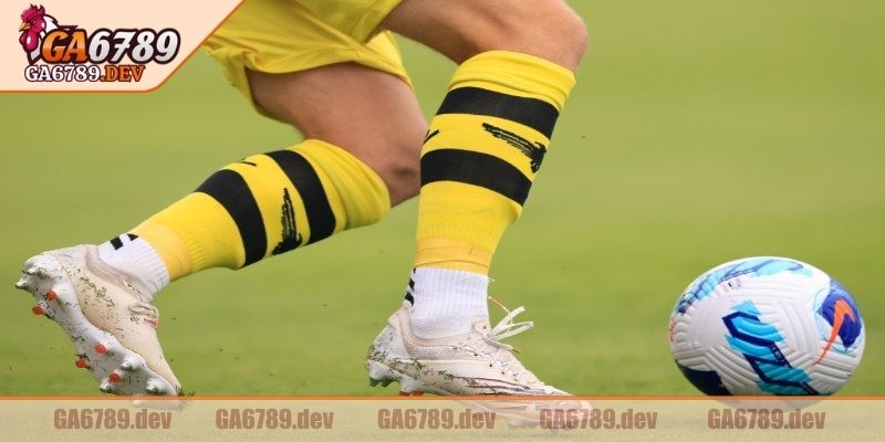 Top loại kèo handicap hot nhất hiện nay